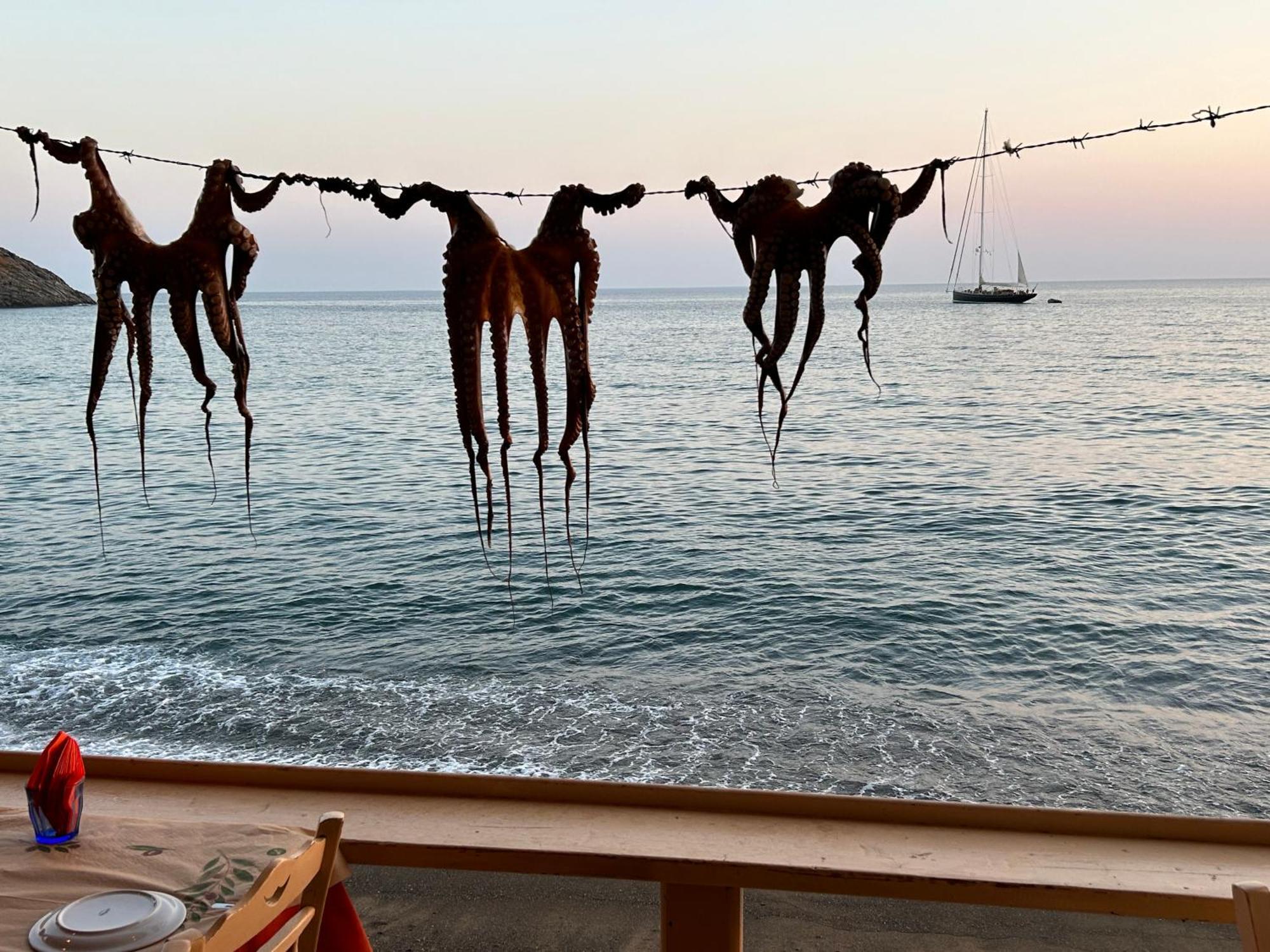 Ocean View Studios And Luxury Rooms Plomari Eksteriør bilde